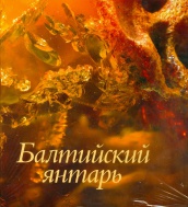 Балтийский янтарь: из собрания Калининградского музея янтаря