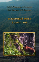 Безоаровый козел в Дагестане: популяционная организация и особенности экологии