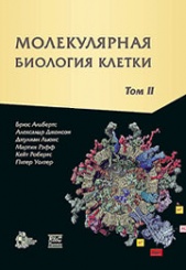 Молекулярная биология клетки: в 3-х томах. Том 2