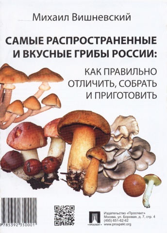 Самые распространенные и вкусные грибы России: как правильно отличить, собрать и приготовить
