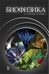 Биофизика. Учебное пособие.  2-е изд., перераб. и доп.