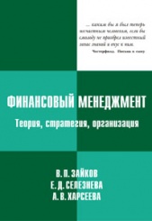 Финансовый менеджмент. Теория, стратегия, организация. 2-е изд.