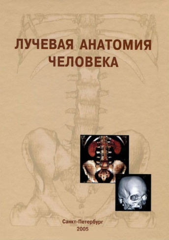 Лучевая анатомия человека