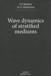 Wave dynamics of stratified mediums