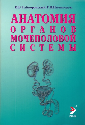 Анатомия органов мочеполовой системы. Учебное пособие. 10-е издание