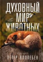 Духовный мир животных