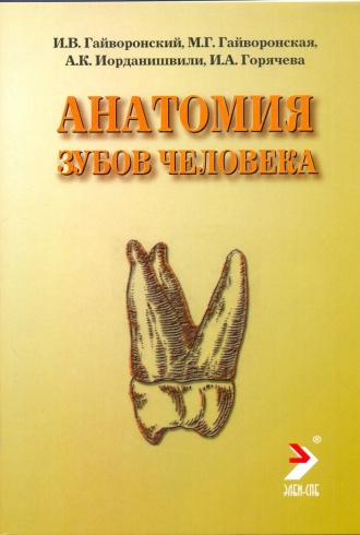 Анатомия зубов человека. Учебное пособие. 4-е издание