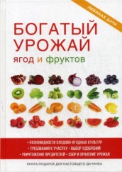 Богатый урожай ягод и фруктов