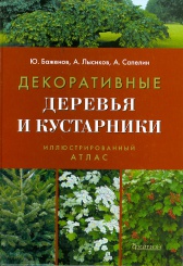 Декоративные деревья и кустарники. Иллюстрированный атлас. 4-е изд.