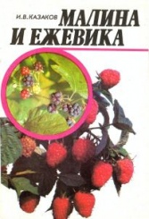 Малина и ежевика