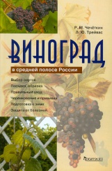 Виноград в средней полосе России