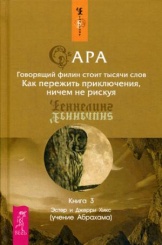 Сара. Кн. 3: Говорящий филин стоит тысячи слов. Как пережить приключения, ничем не рискуя