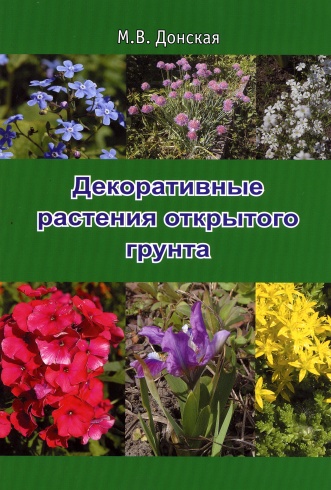 Декоративные растения открытого грунта