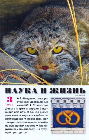 Журнал "Наука и жизнь" № 3/2020