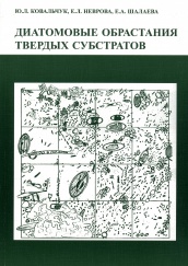 Диатомовые обрастания твердых субстратов