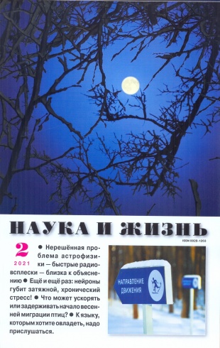 Журнал "Наука и жизнь" № 2/2021