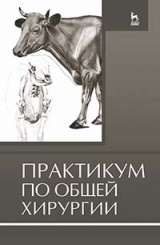 Практикум по общей хирургии. Учебное пособие. 1-е изд.