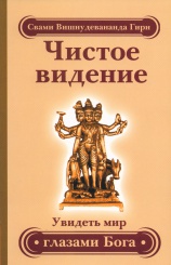 Чистое видение. Увидеть мир глазами бога