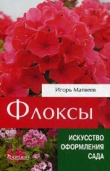 Флоксы (искусство оформления сада)
