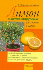 Лимон и другие цитрусовые растения в доме