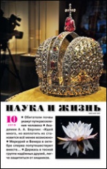 Журнал "Наука и жизнь" № 10/2019 Распродажа!