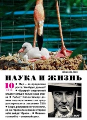 Журнал "Наука и жизнь" № 10/2015 Распродажа!