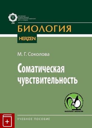 Соматическая чувствительность. Учебное пособие