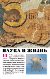 Журнал "Наука и жизнь" № 11/2020 Распродажа!