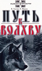 Путь к волхву