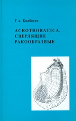 Acrothoracica, сверлящие ракообразные