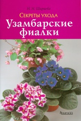 Узамбарские фиалки. Секреты ухода